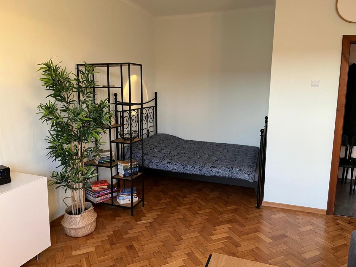 Апартаменты Apartament Planty 2/8 Замосць Экстерьер фото